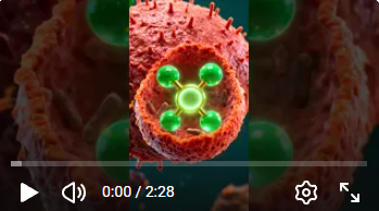  Infographic of artesunate anti-tumor mechanisms including apoptosis, autophagy, angiogenesis inhibition, and immune modulation