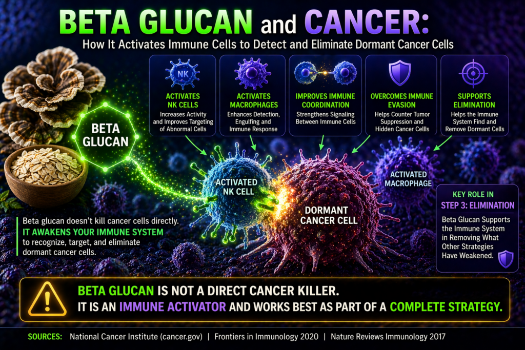 beta glucan activating immune cells against dormant cancer cells diagram