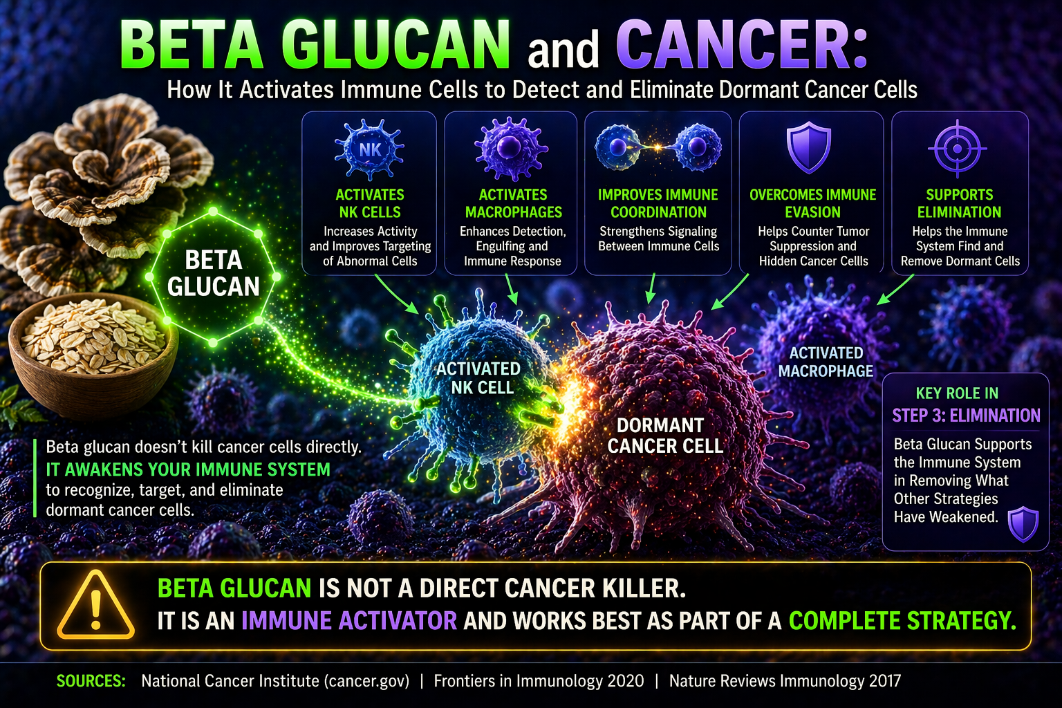 beta glucan activating immune cells against dormant cancer cells diagram