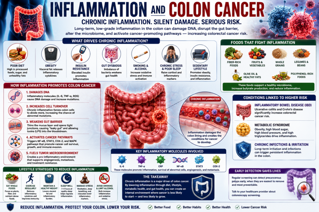 Medical infographic explaining how chronic inflammation may increase colon cancer risk through gut barrier damage, microbiome disruption, insulin resistance, and cancer-promoting pathways.